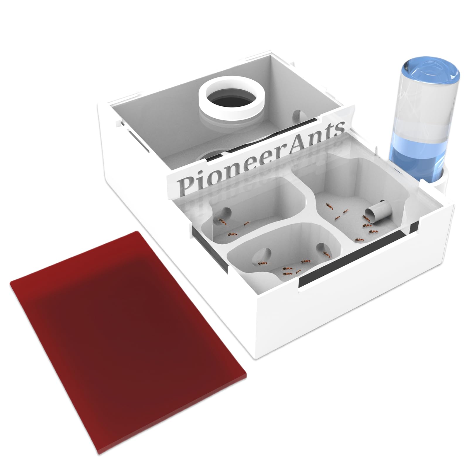 PioneerAnts Ant Farm for Kids and Adults Small Ant Colony